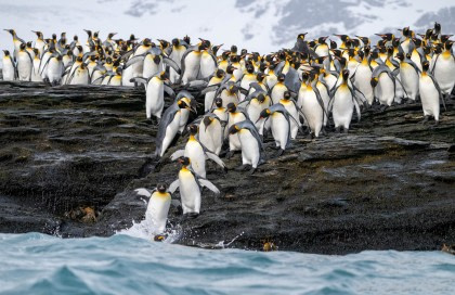 South Georgia and Antarctic Peninsula
