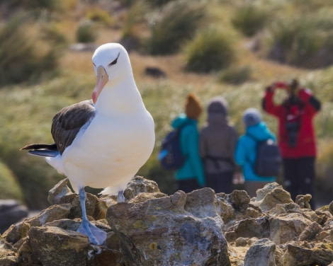 Falkland Islands