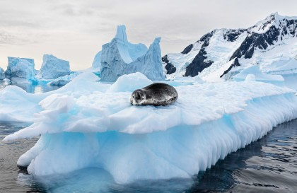 Antarctica - Discovery and learning voyage