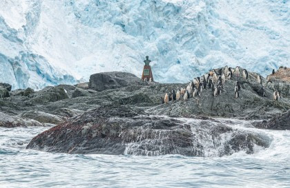 Falkland Islands - South Georgia - Elephant Island - Antarctica - Polar Circle