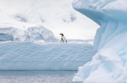 Antarctica - Discovery and learning voyage