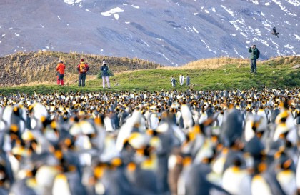 Falkland Islands - South Georgia - Antarctica