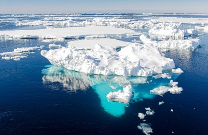 Northwest Iceland Explorer - Into the pack ice