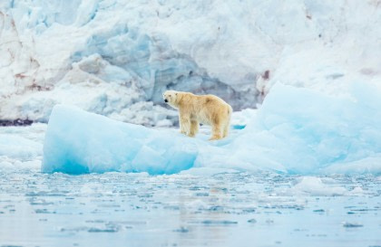 North Spitsbergen Explorer - Into the pack ice - Polar Bear Special