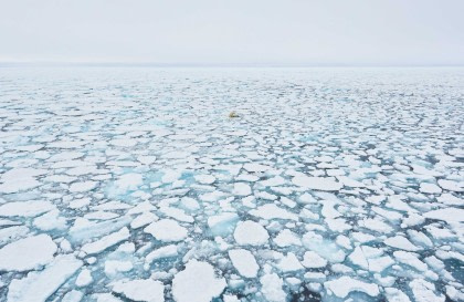 Around Spitsbergen, In the realm of Polar Bear & Ice